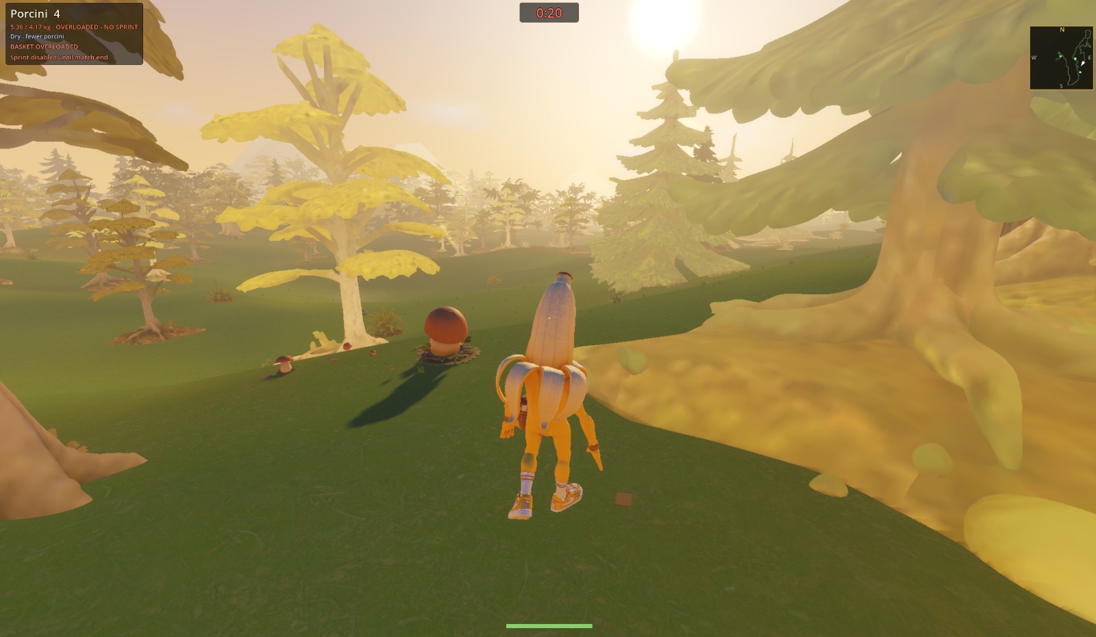 A banana hunter approaching a giant porcino mushroom